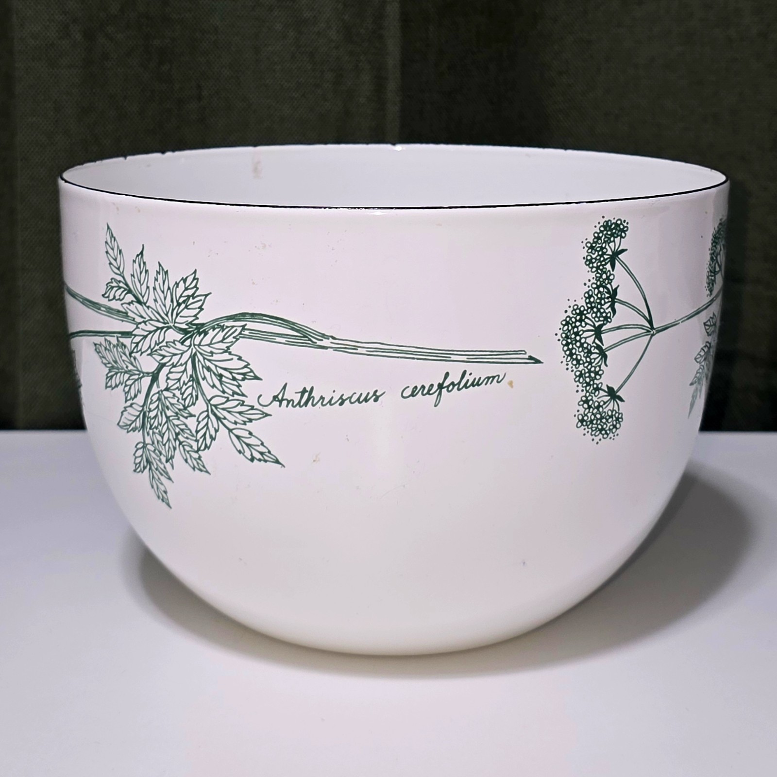 VTG Arabia Finland Botanical White Enamel Bowl Kaj Franck Anthriscus Cerefolium
