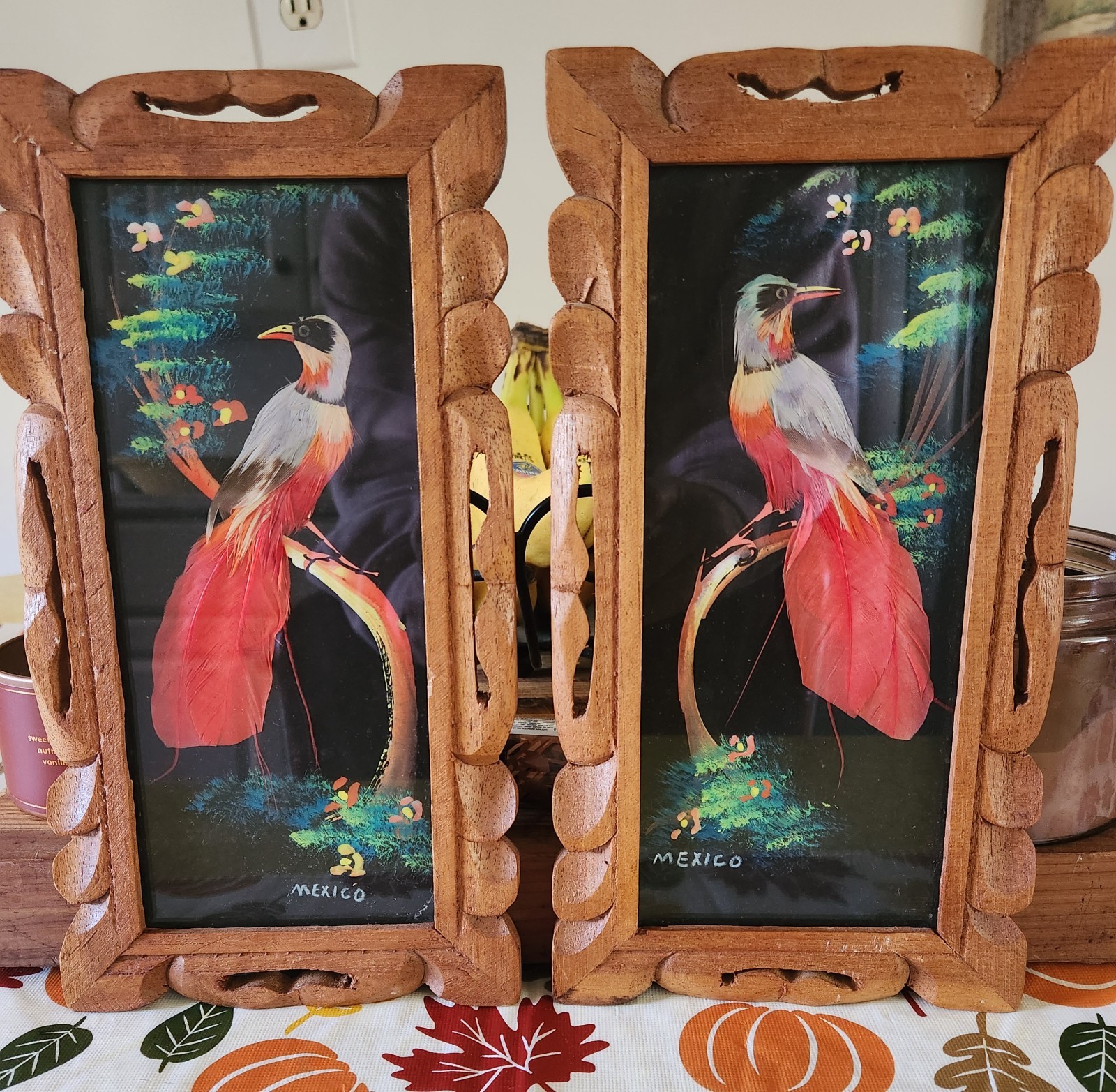 VTG Pair of Mexican Feathercraft Framed Bird Folk Art Collectible Pieces Feather