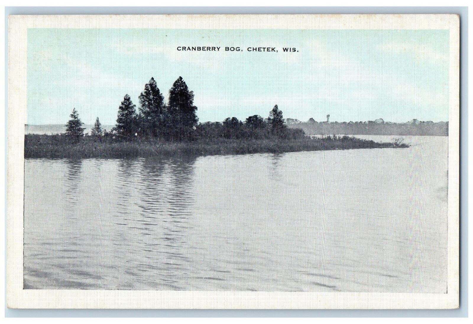 c1930\'s Cranberry Bog, Chetek Wisconsin WI Vintage Unposted Postcard