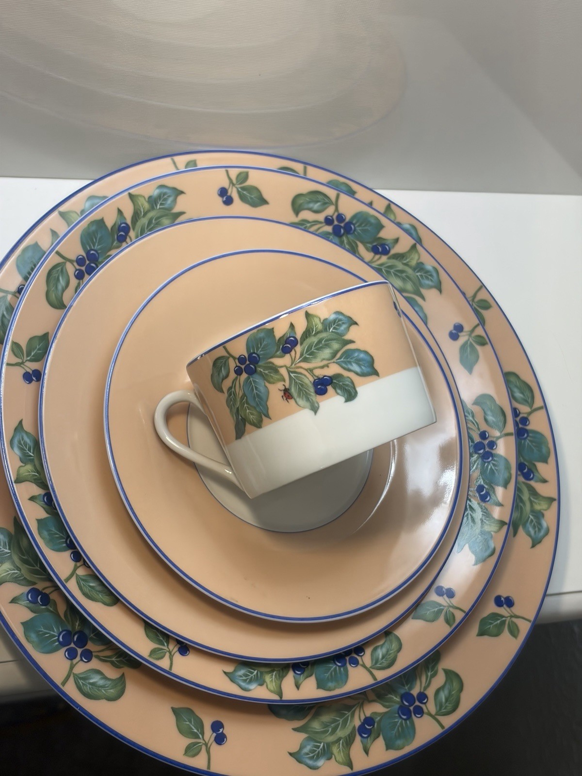Vintage Limoges 5 Piece Dining Set For 6
