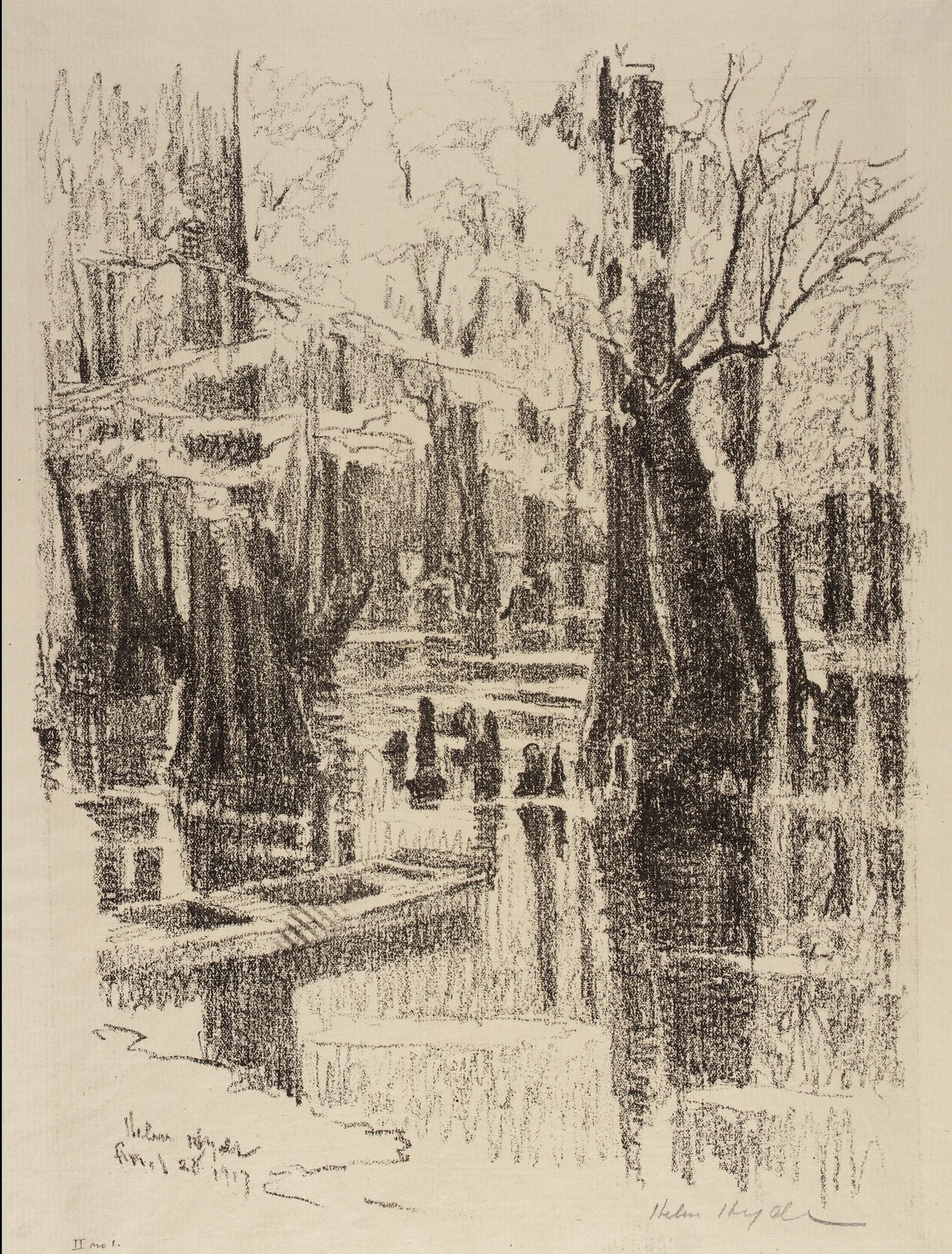 Helen Hyde Cypress Swamp Vintage 1910s Art Photo Reprint Wall Art
