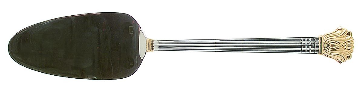 Retroneu Avignon  Pie Server 3914562