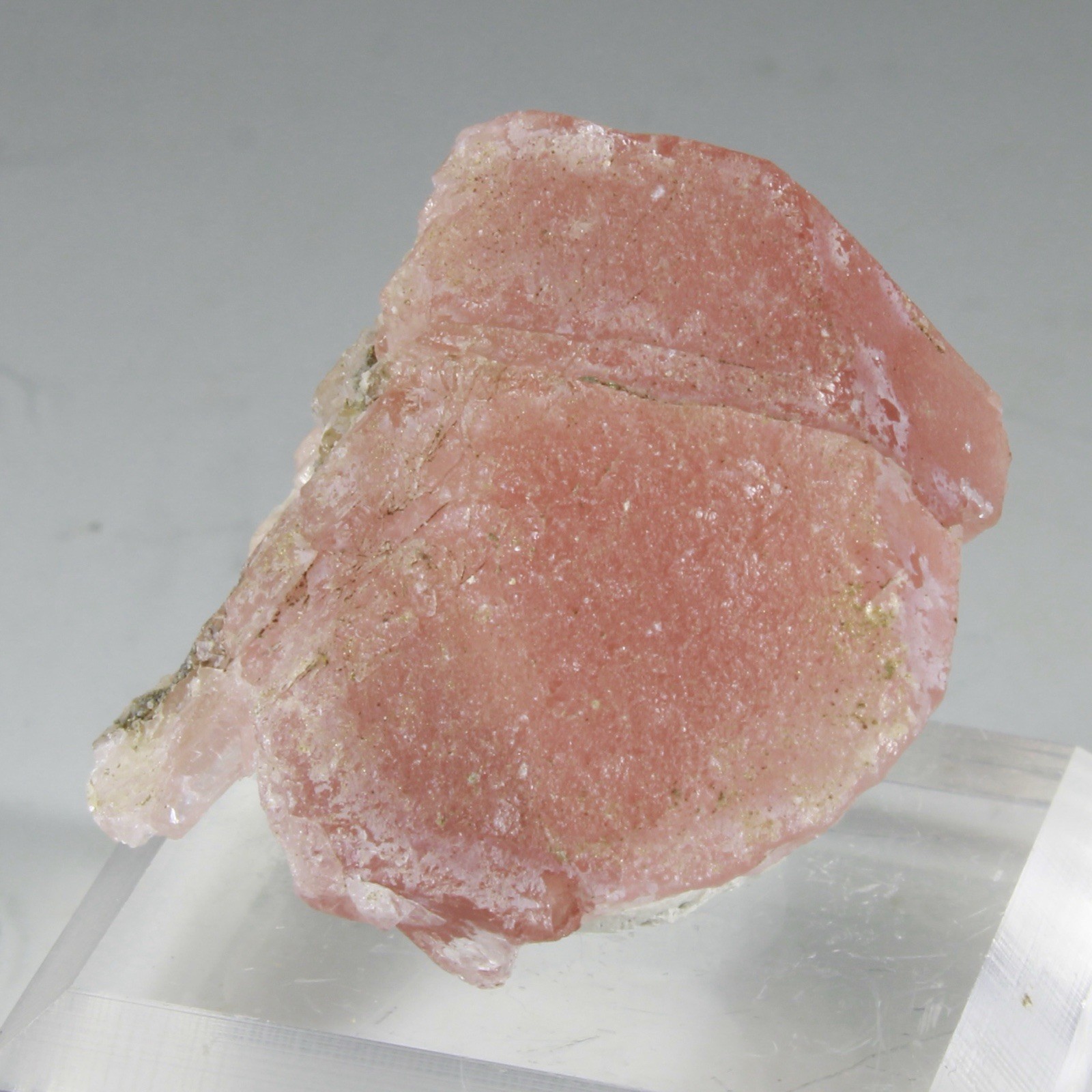 Stellar Rare PINK FLUORITE - Planggenstock, Göscheneralpe, Uri, Switzerland