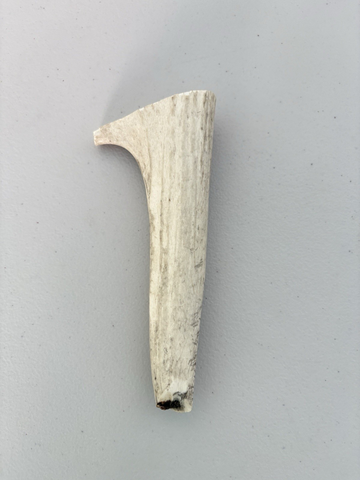 Vintage Real Antler Section Piece Crafting Blank Knife Handle Material 7\