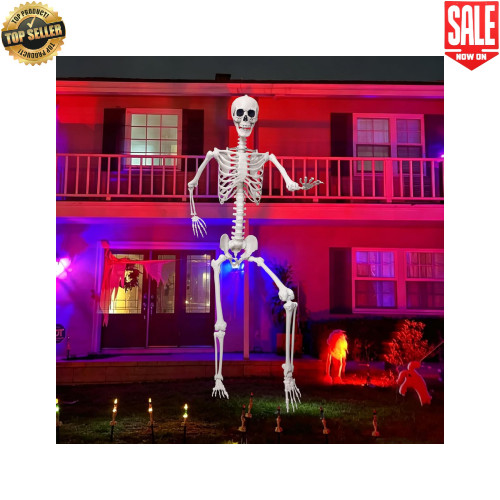 7.9Ft Giant Skeleton Life Size Human Bones Movable Joints for Halloween Decor