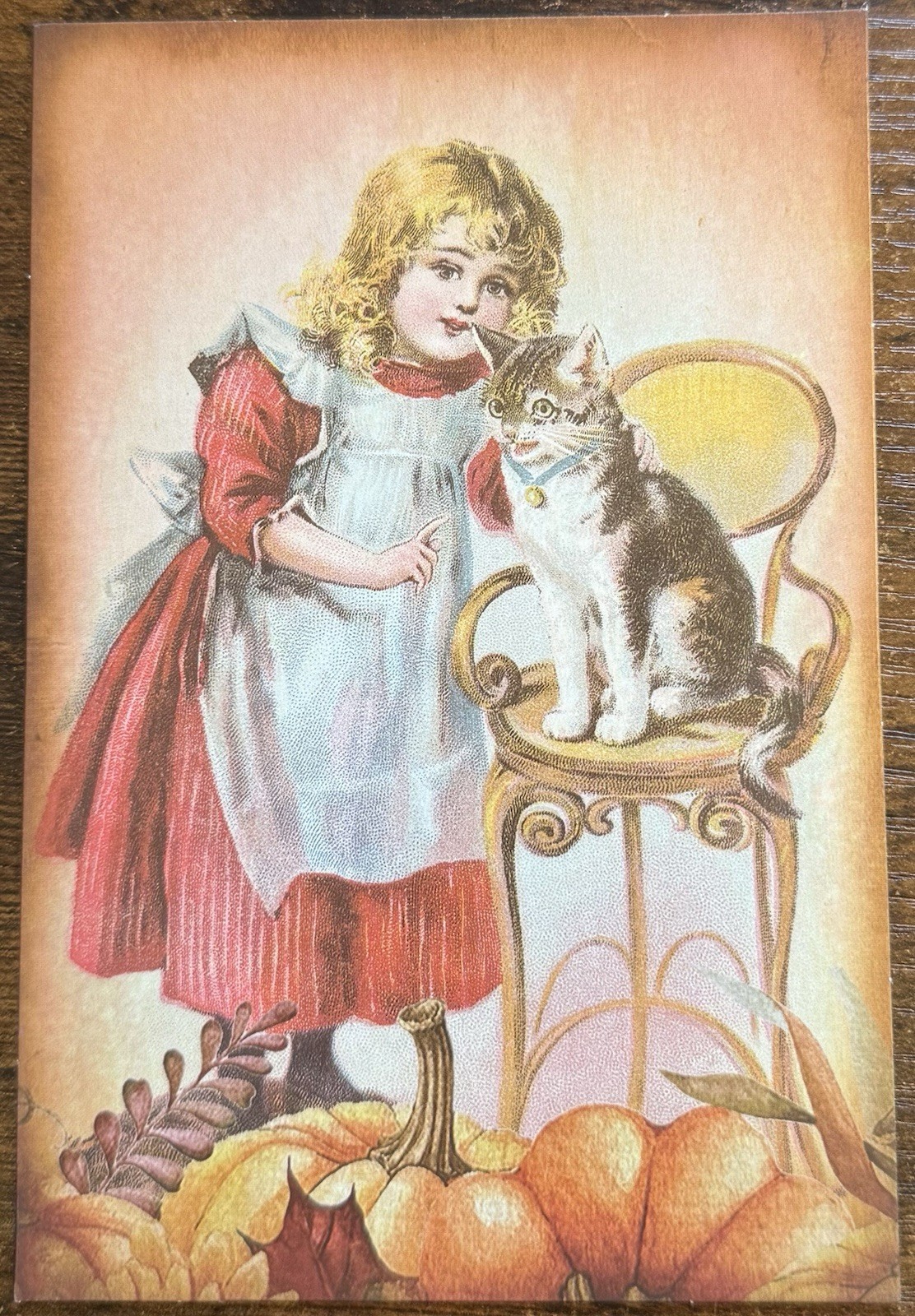 Fall Thanksgiving Little Girl Cat Pumpkins Fall Leaves Postcard PC214 Ephemera