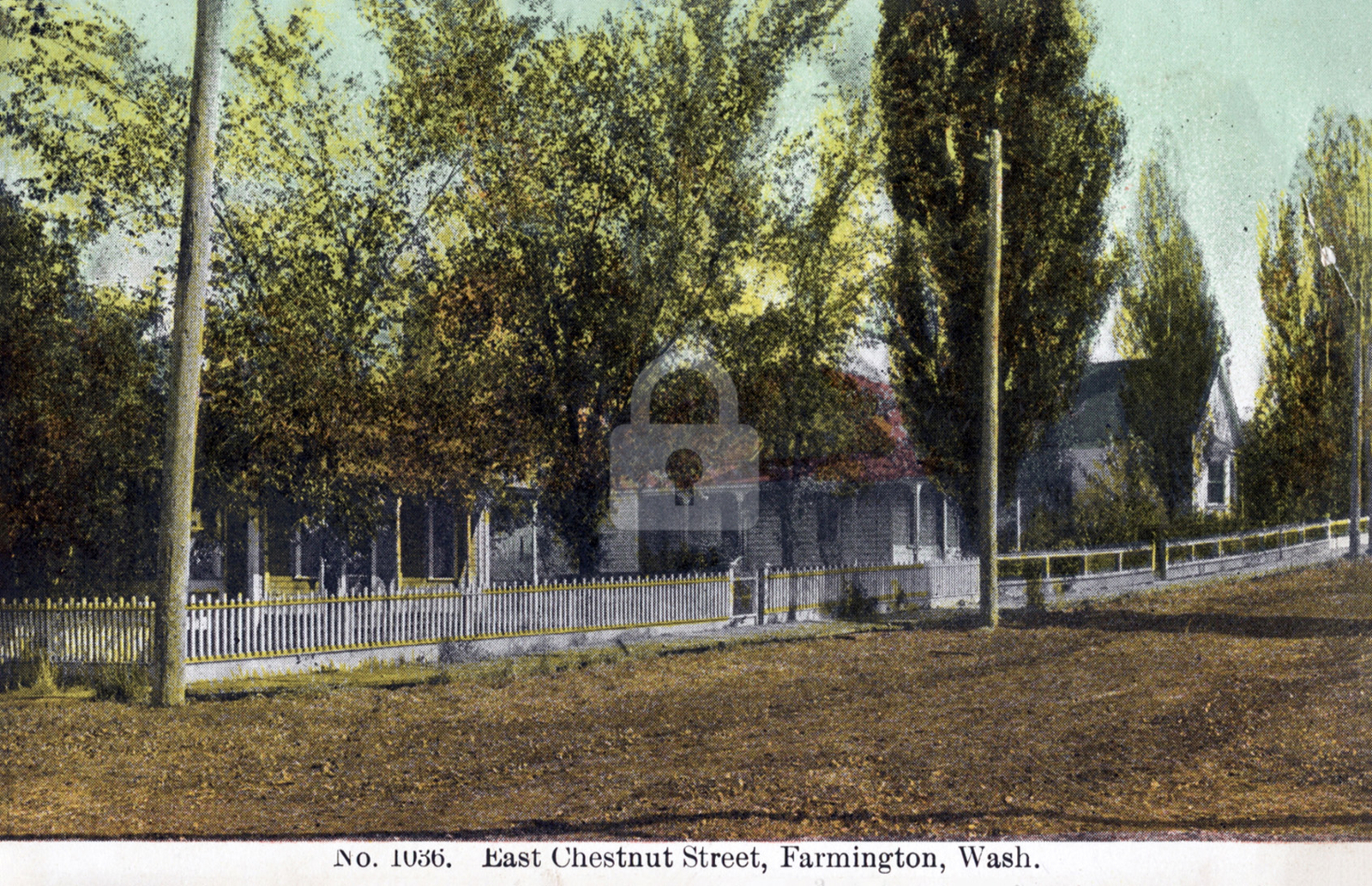 East Chestnut St. c.1908 Farmington WA Washington Color Postcard COPY