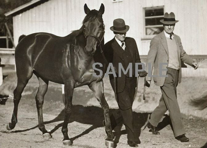 1938  SEABISCUIT & Handlers 5x7 Borderless Photo  (166-U)