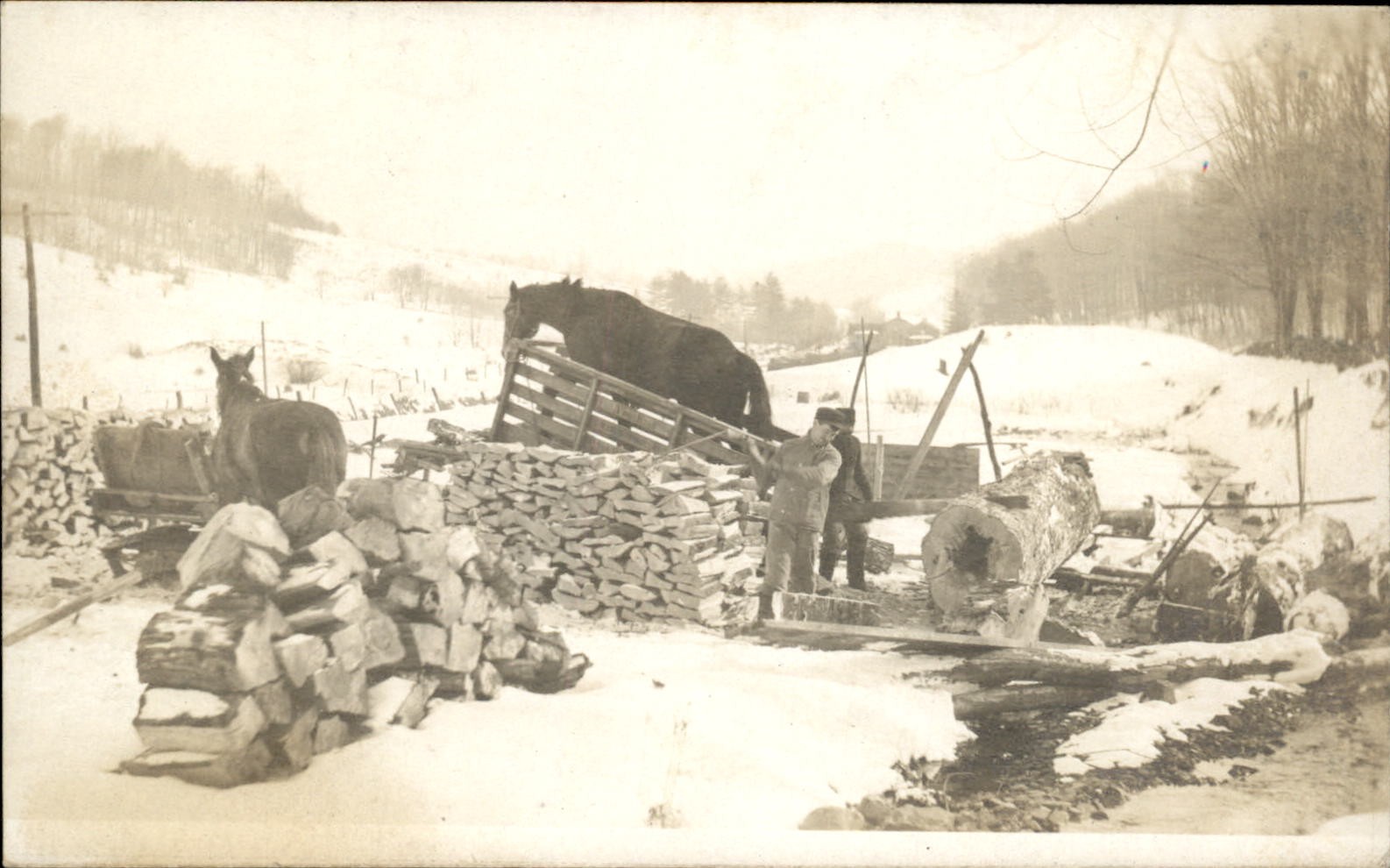 Logging in Snow Horse on Angled Platform c1900s-20s Real Photo Postcard bhn