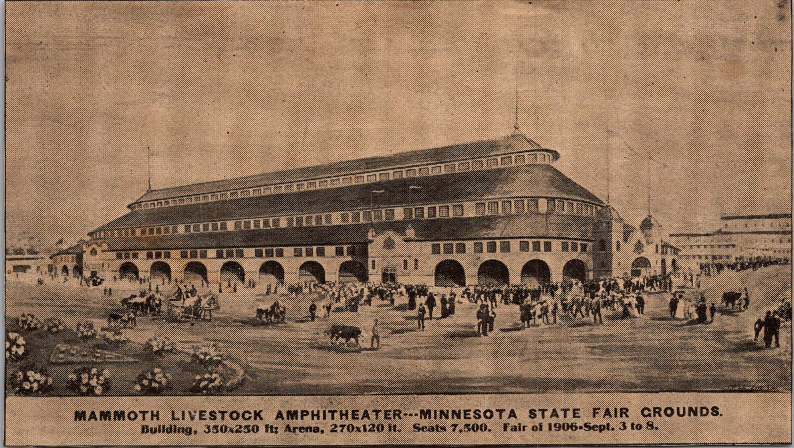 Mammoth Livestock Amphitheater MN State Fair Grounds 1906 MN Clipping 5AL1-H3
