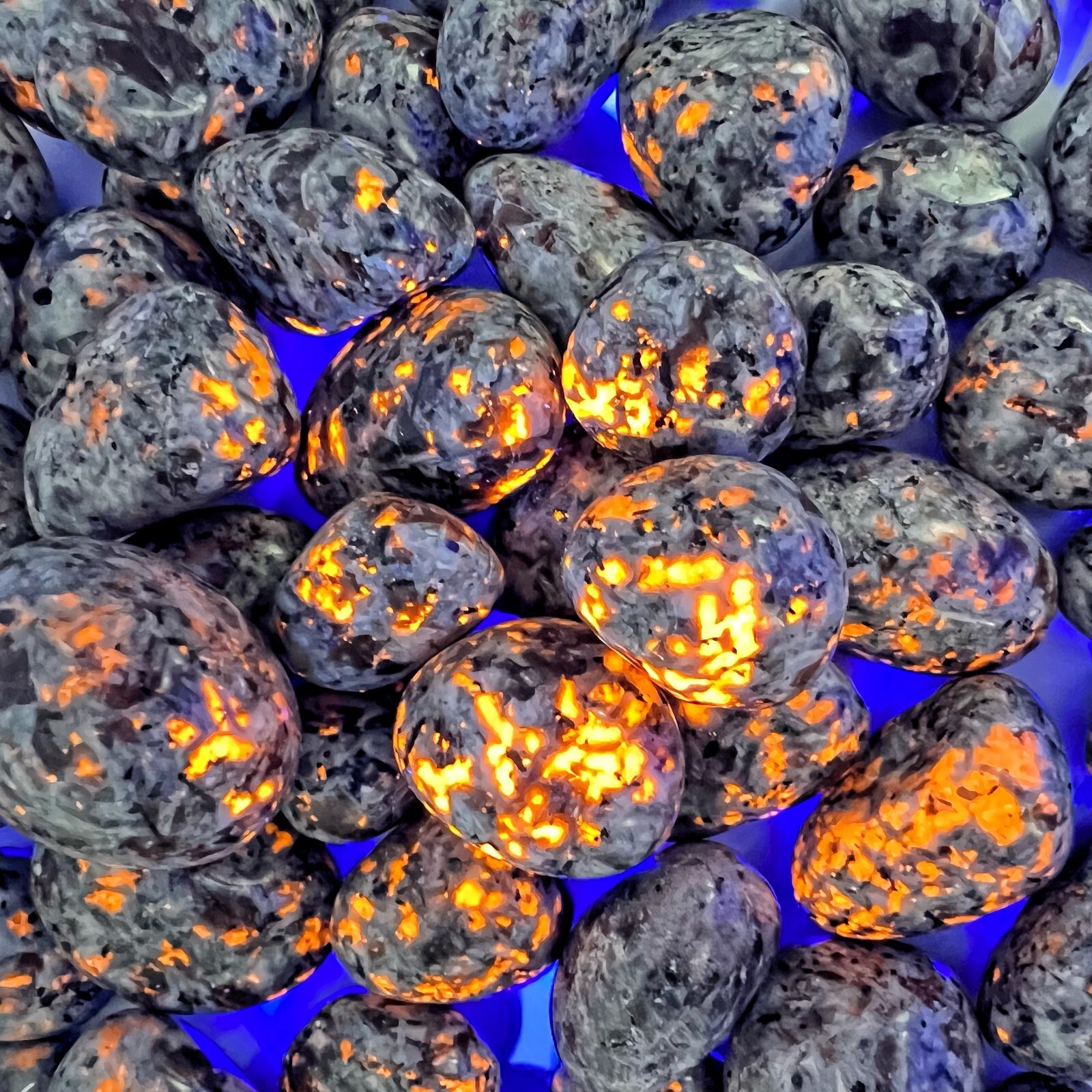 5 PCS Natural Emberlite Tumbled Stone UV Reactive Sodalite Gemstone Home Decor