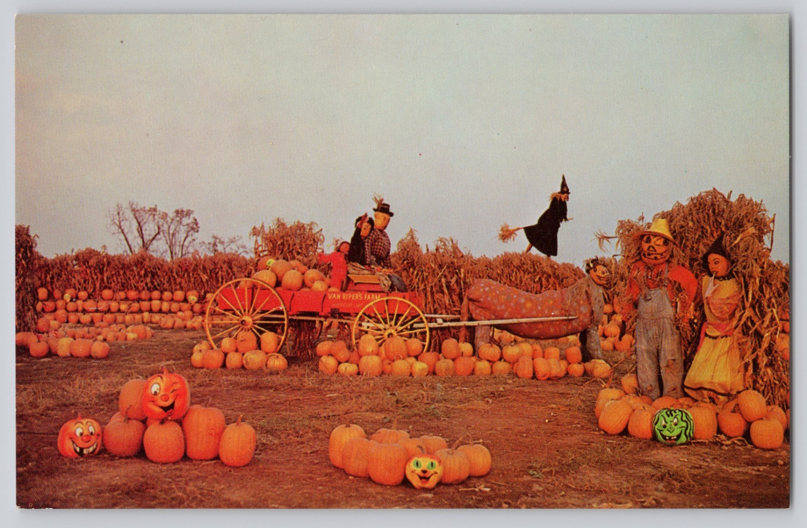 Van Riper’s Farm NJ Witch Pumpkin Patch Scarecrows Halloween Wagon Postcard