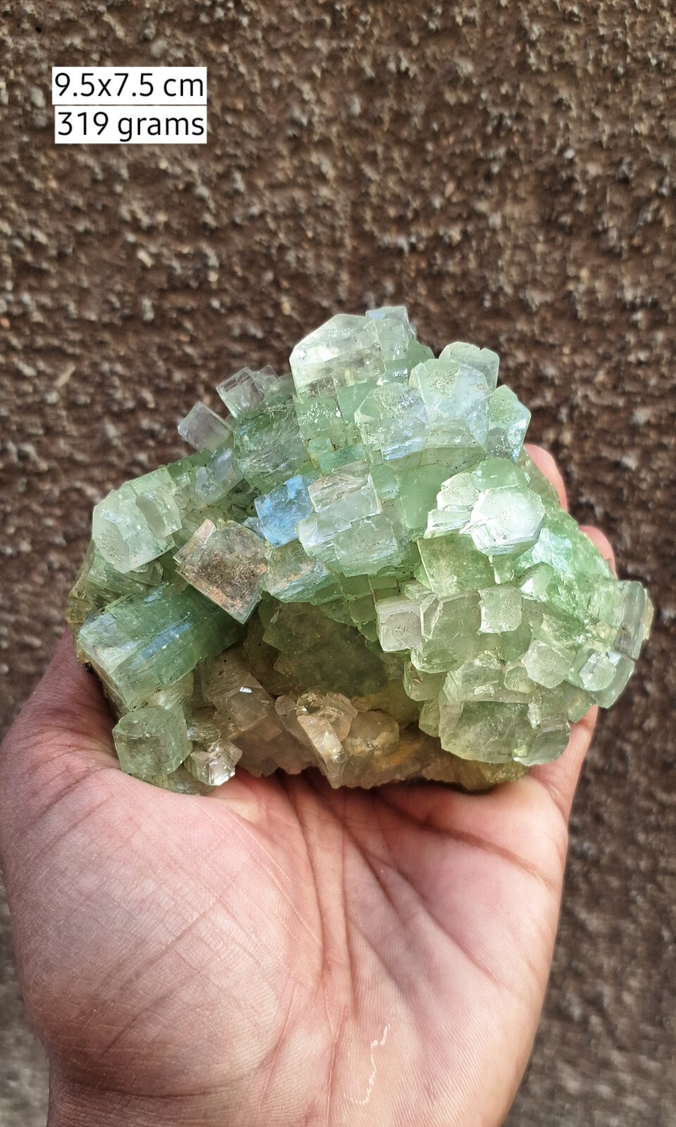 SUPERB GREEN APOPHYLLITE ON MATRIX BASE (DYED & COLORED )# 319