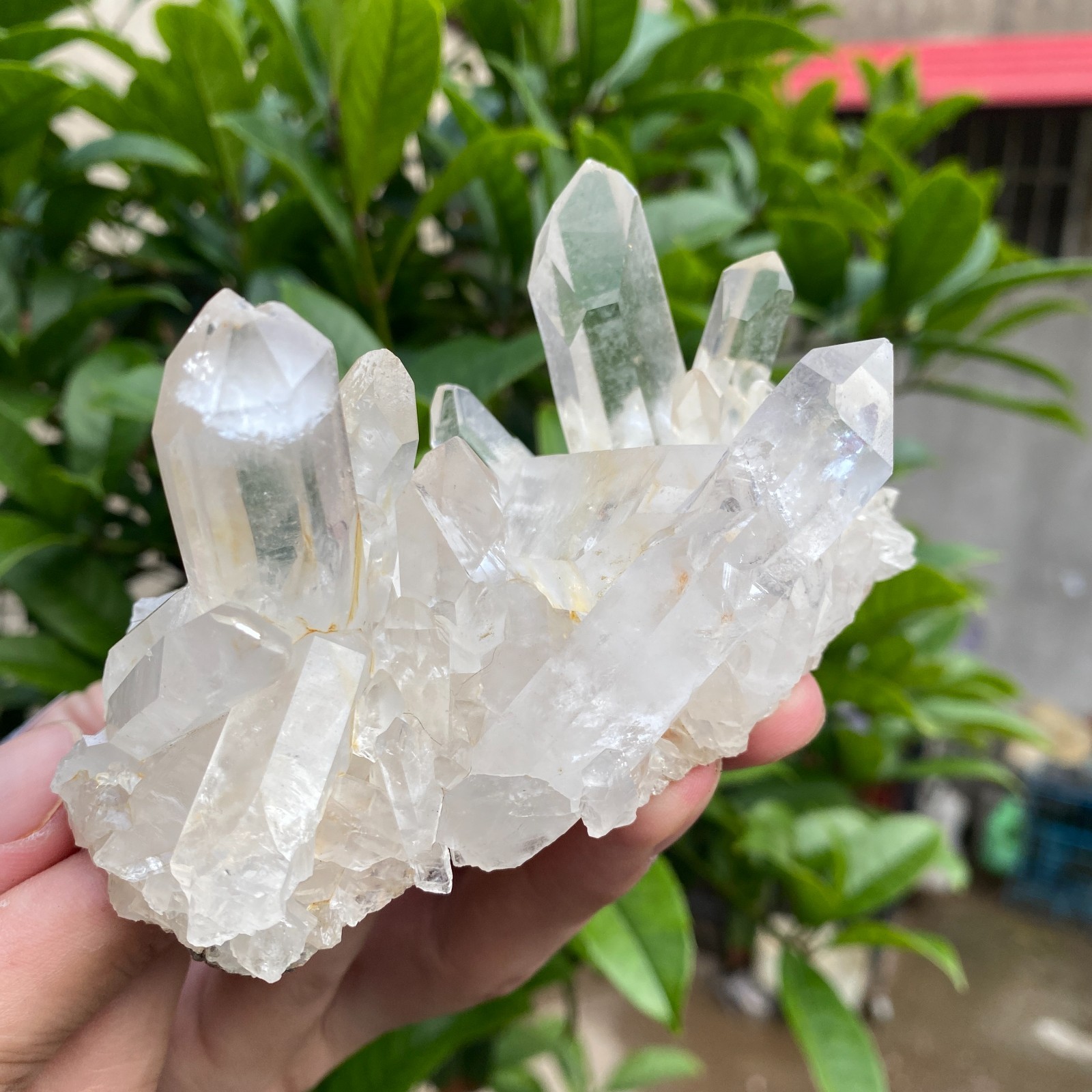 310G  Natural clear white quartz crystal cluster mineral specimen healing