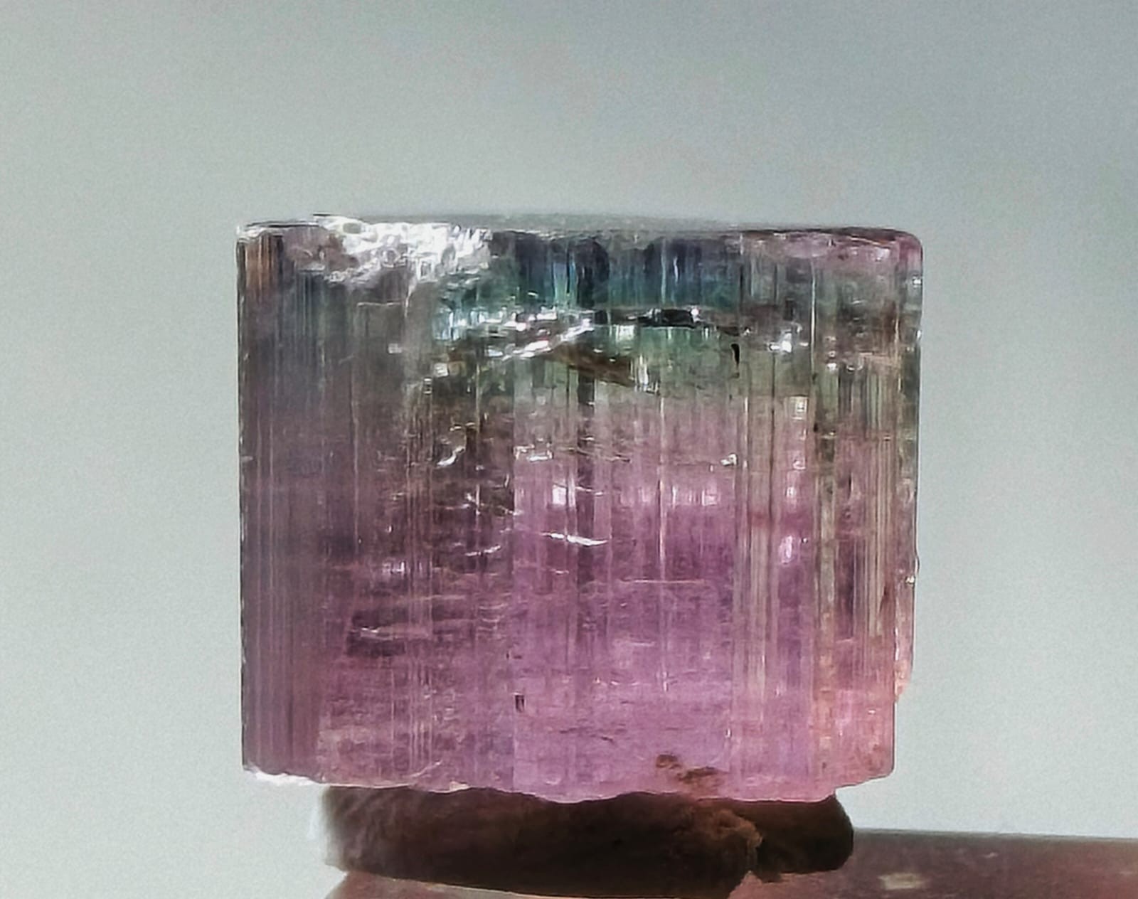 Tri colour terminated pink and blue tourmaline crystal - 11 Carats