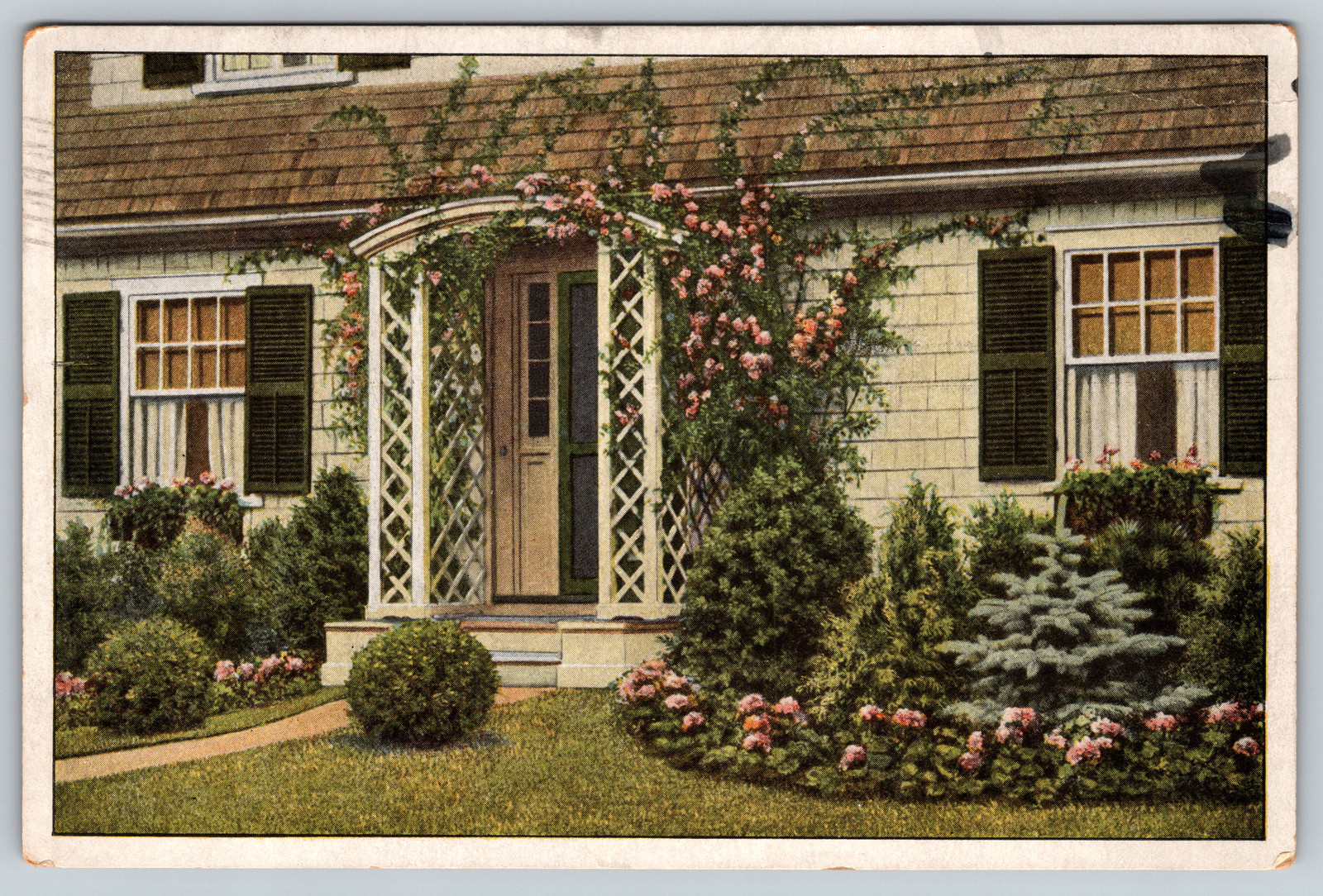 c1920s Evergreens Steele's Pomona Nurseries Palmyra New Jersey Vintage Postcard