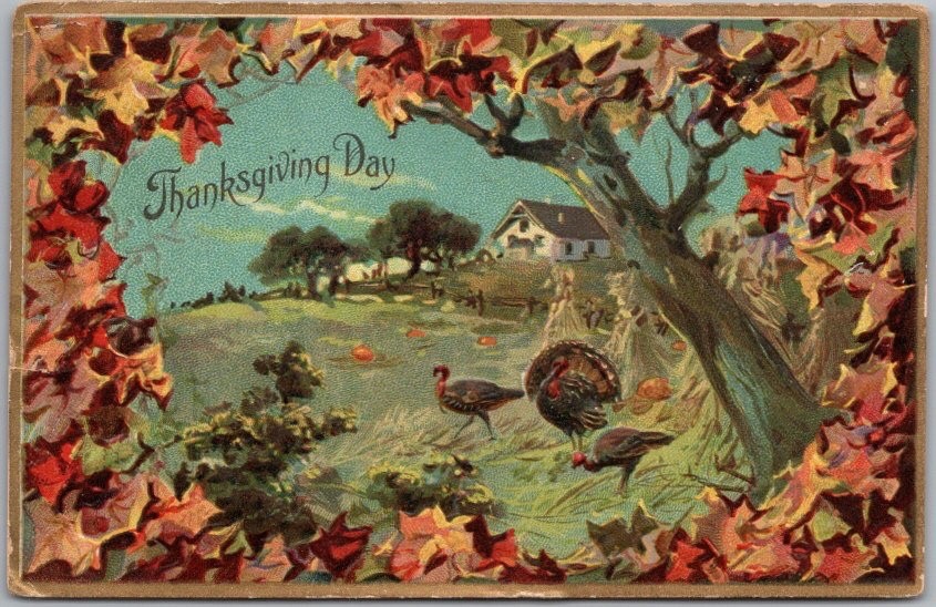 Vintage Tuck\'s THANKSGIVING Embossed Postcard Turkeys in Farm Field -1908 Cancel