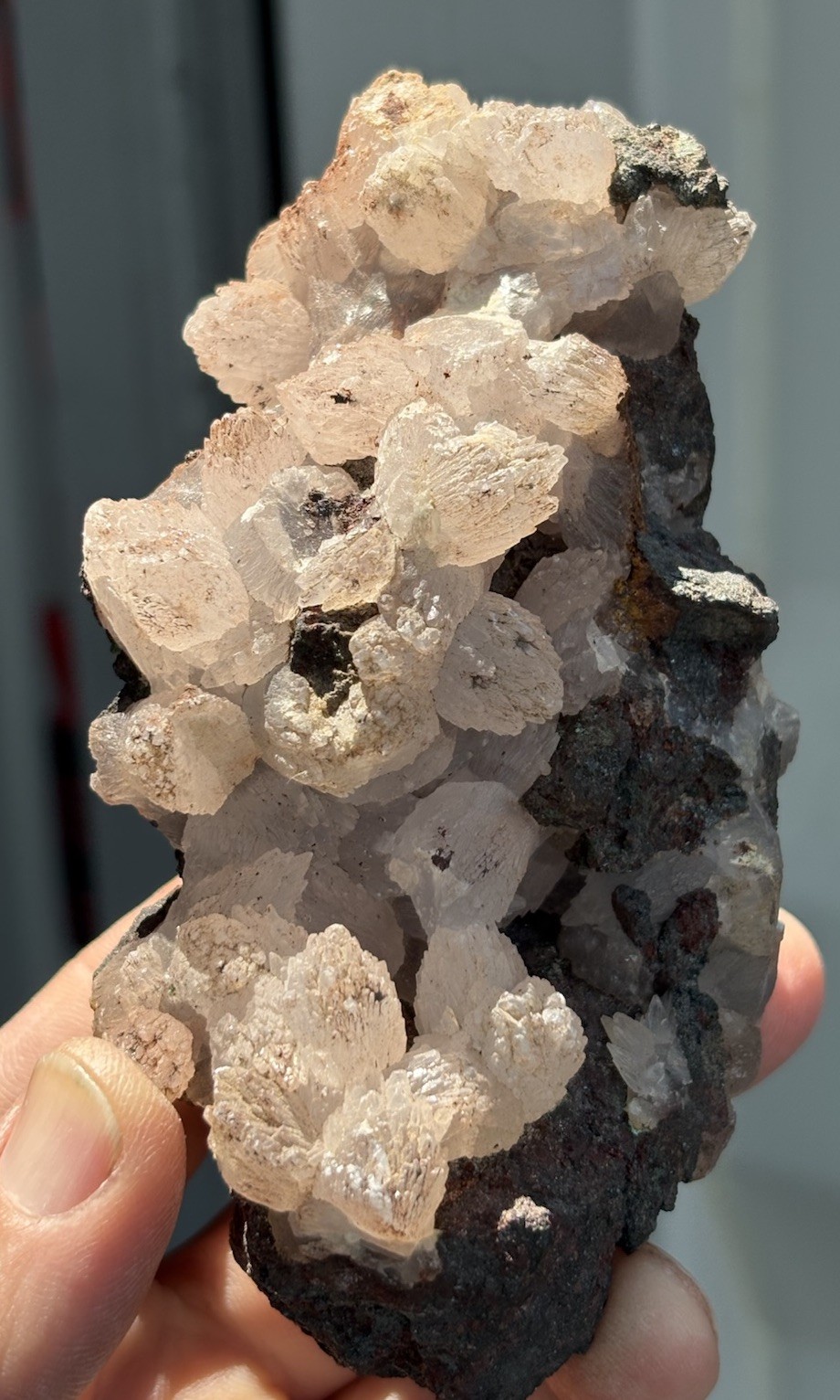 ☘️RR⛏️: Calcite On Hematite, Old Magma Mine, Superior Az. 14.6 Oz. 🌵