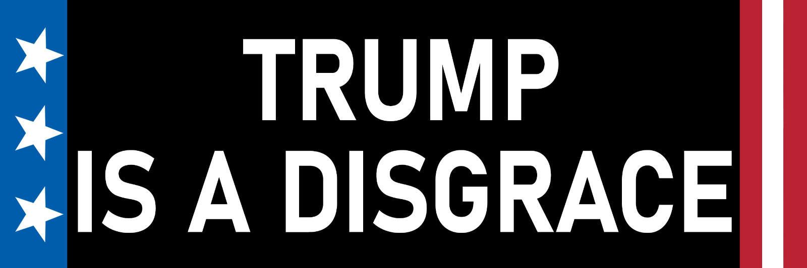 Trump is a Disgrace Sticker Large 3x9 Anti Donald Trump Sticker