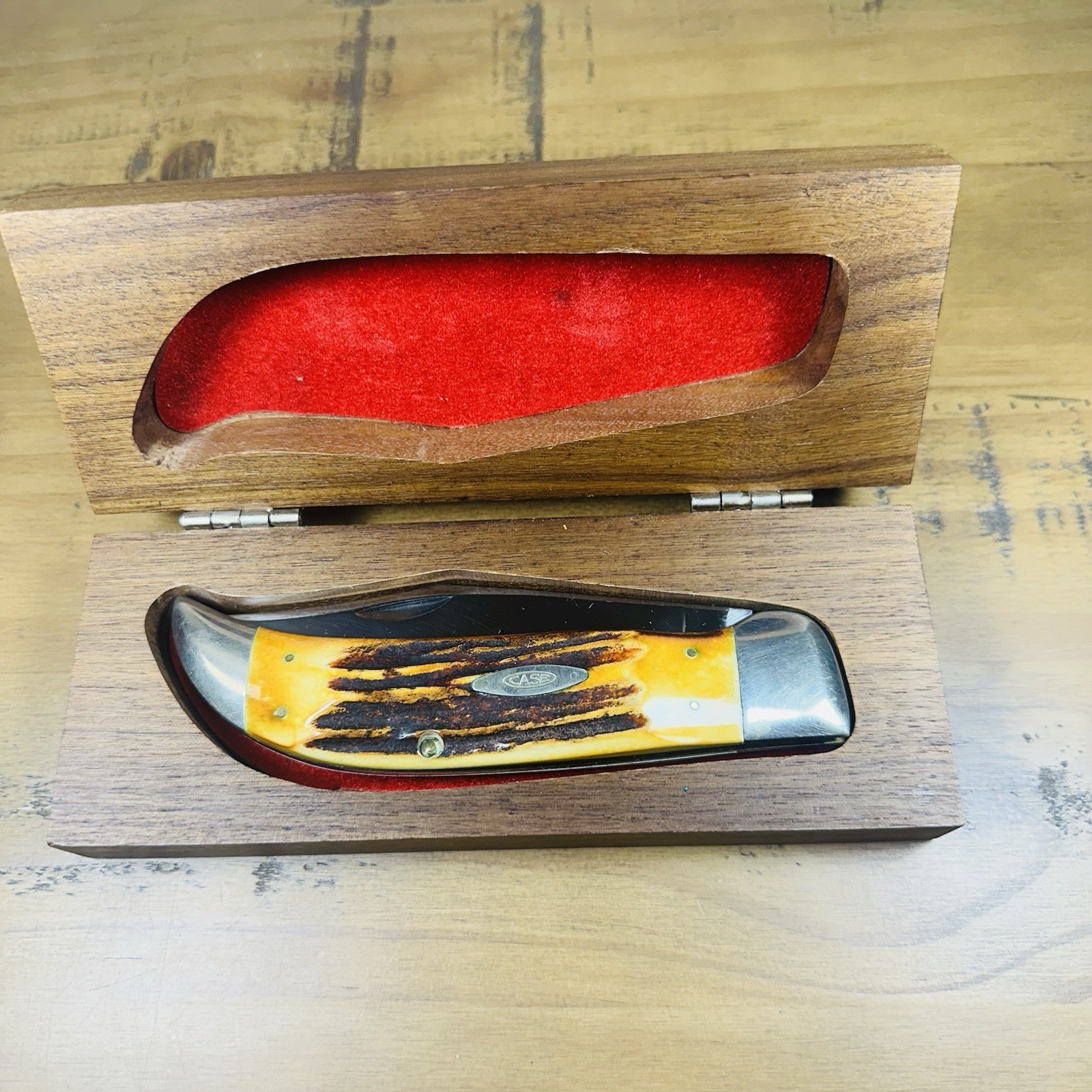 Vintage Case XX 5172 Bulldog Folding Pocket Knife w/ Wood Presentation Box