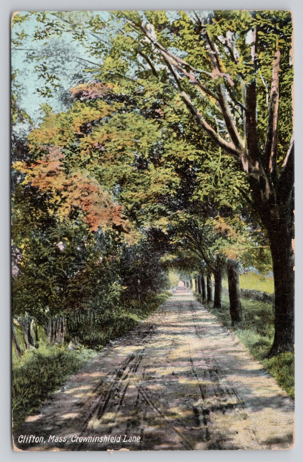 1909 Clifton MA Crowninshield Lane Tree-Lined Road Postcard Marblehead MA