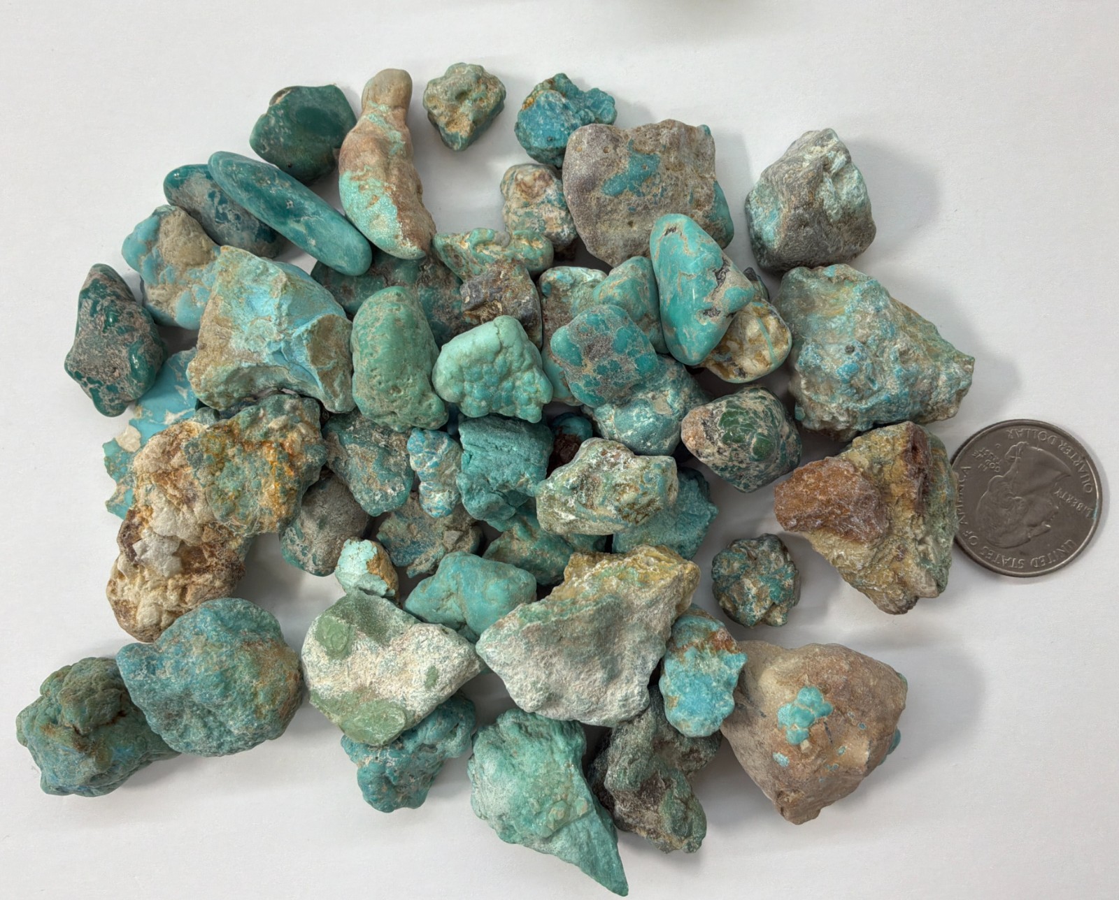241 Grams of Stabilized American Turquoise Rough Nevada Turquoise Fox mine rough