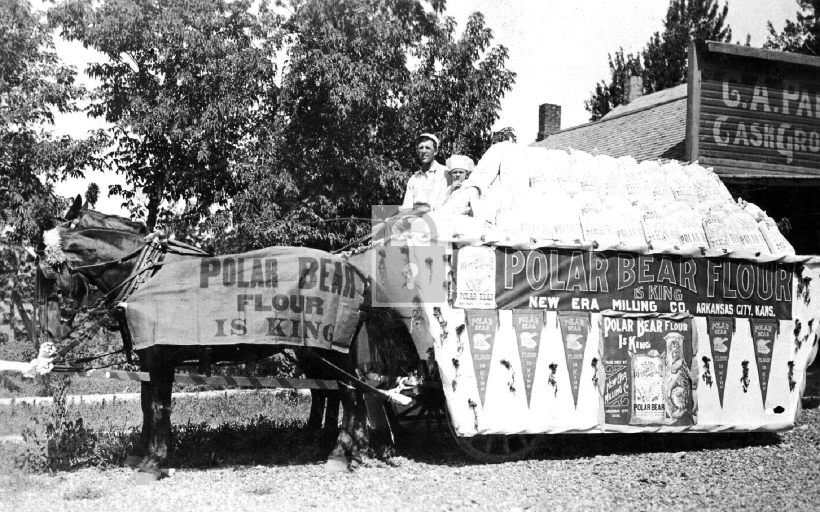 Polar Bear Flour Horse Float Arkansas City Kansas KS - Reprint