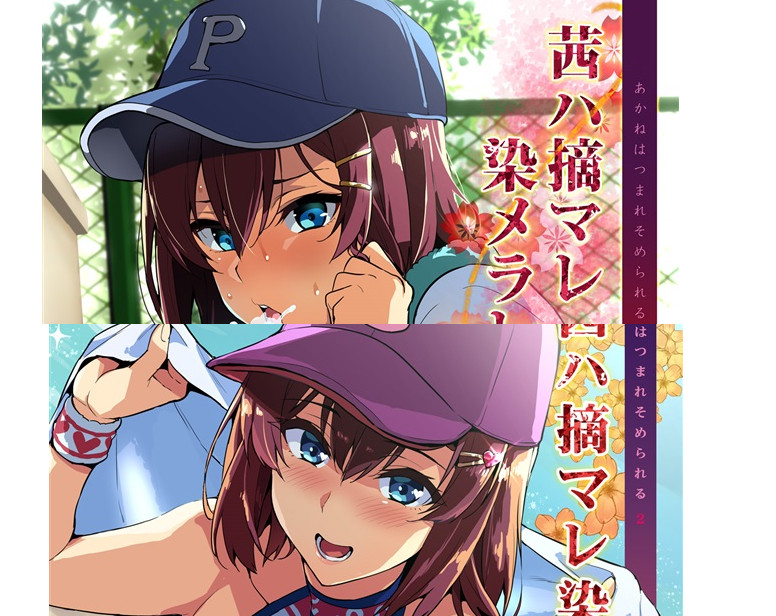 Takeda Hiromitsu Doujinshi B5/40P Akane wa Tsumare Somerareru 1+2