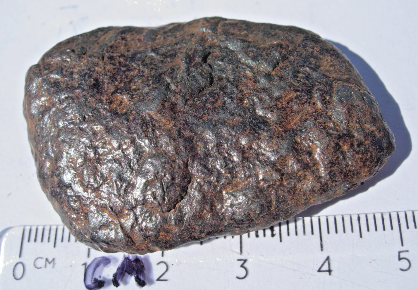 Very RARE 43.6 grams Canyon Diablo Graphite Nodule as found Meteorite with a COA