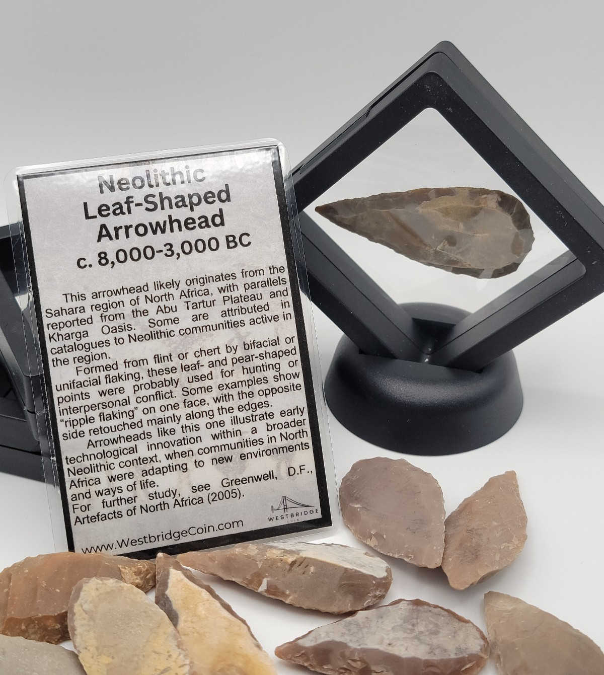 One Random Neolithic Flint Leaf-Shaped Arrowhead North Africa Case & Info Card