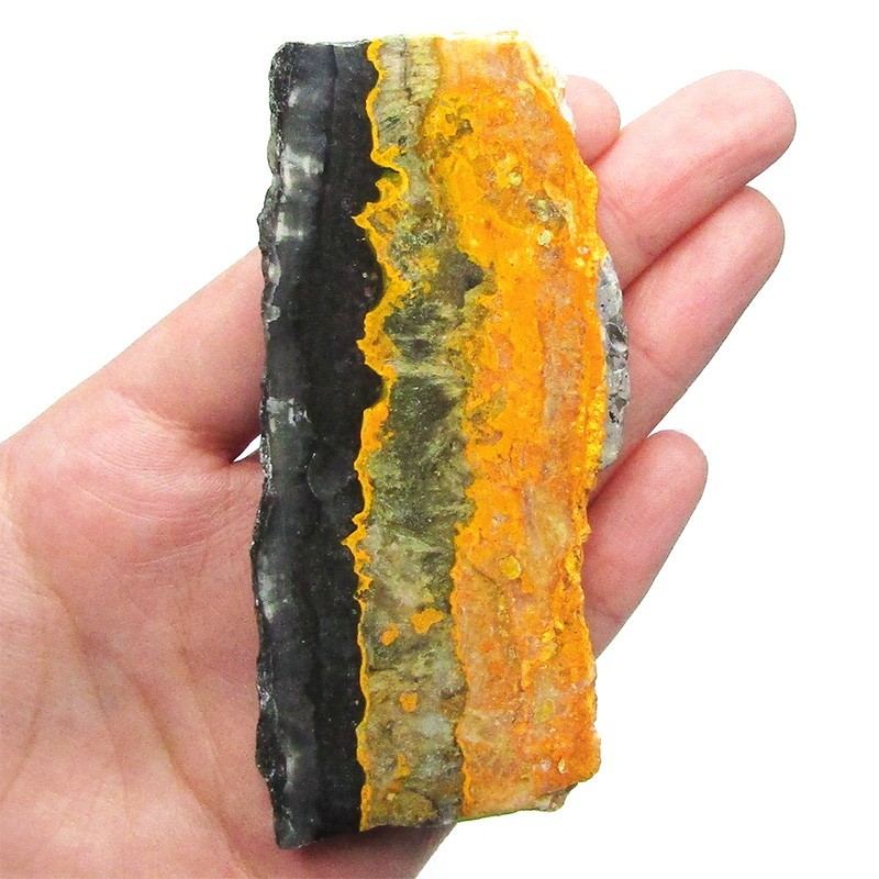 Bumblebee Jasper yellow gold mineral slice polished gemstone Madagascar