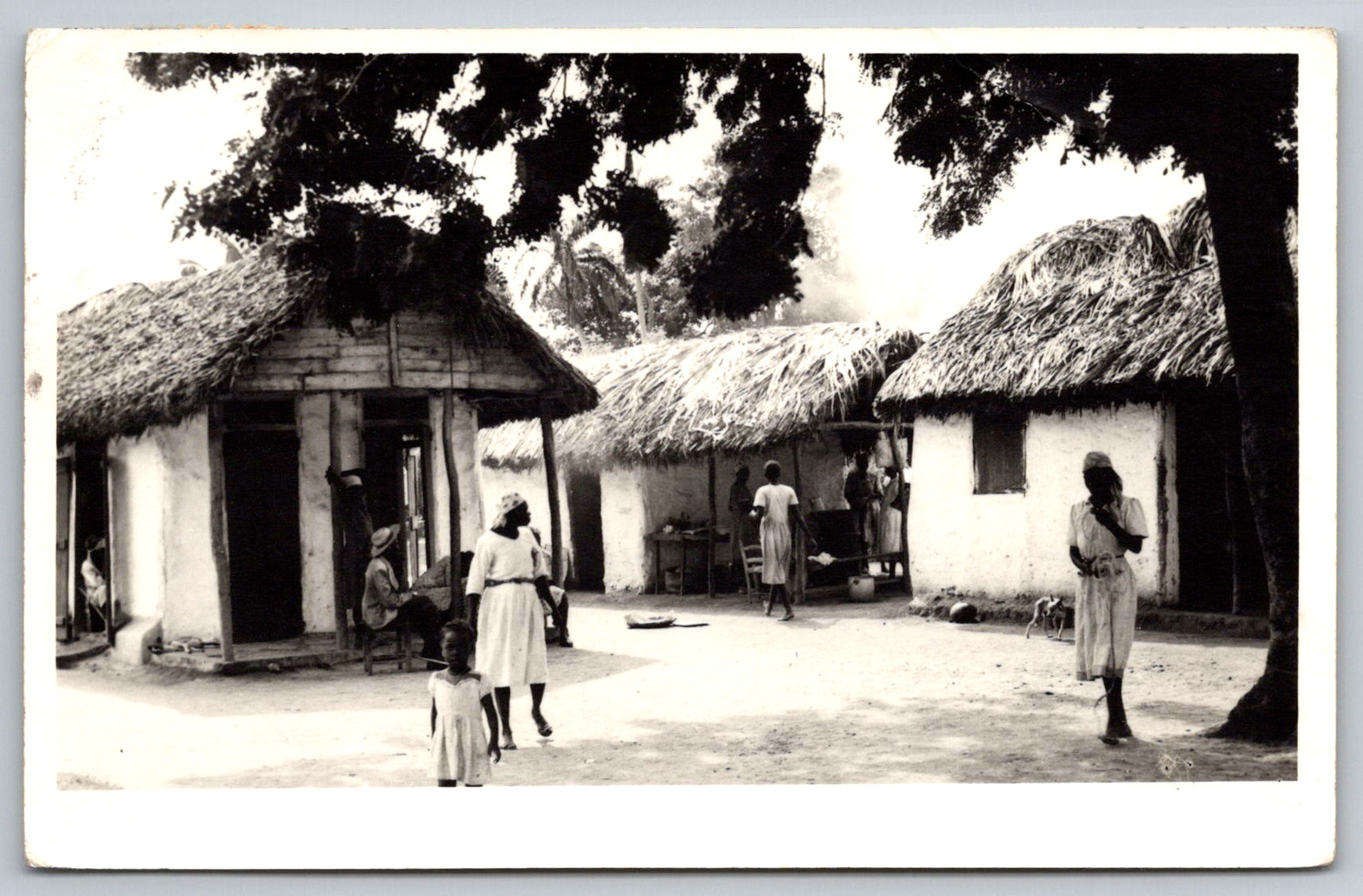 RPPC c1950s Haiti Village Life Thatched Houses Gevaert Postcard