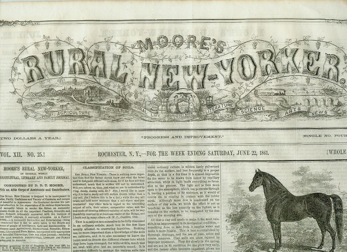 Newspaper Civil War  Secession Rebel Banner Design Adopted SEE  1861