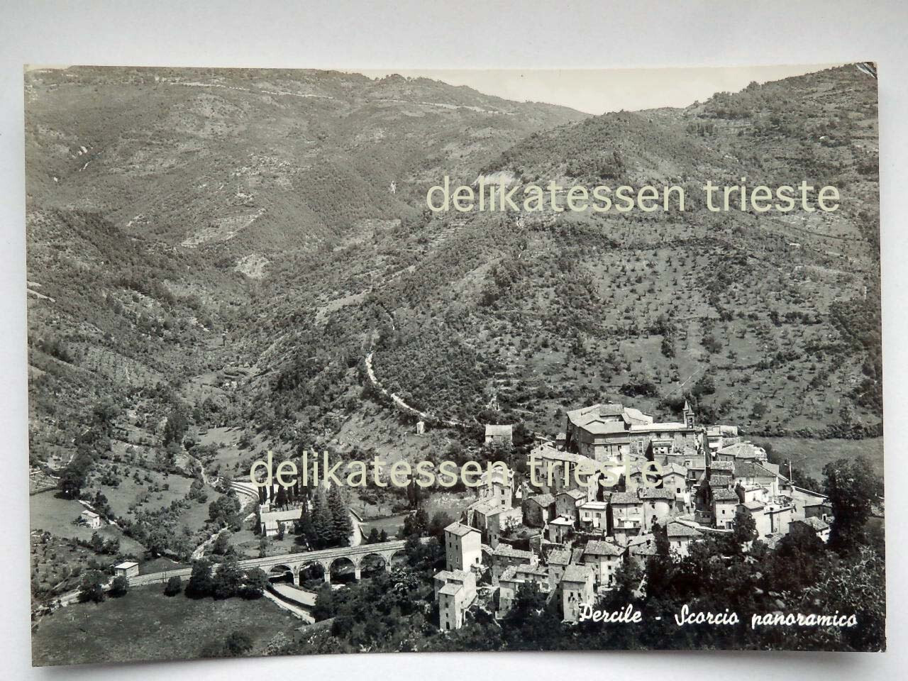 PERCILE panoramic view Rome old postcard 1213