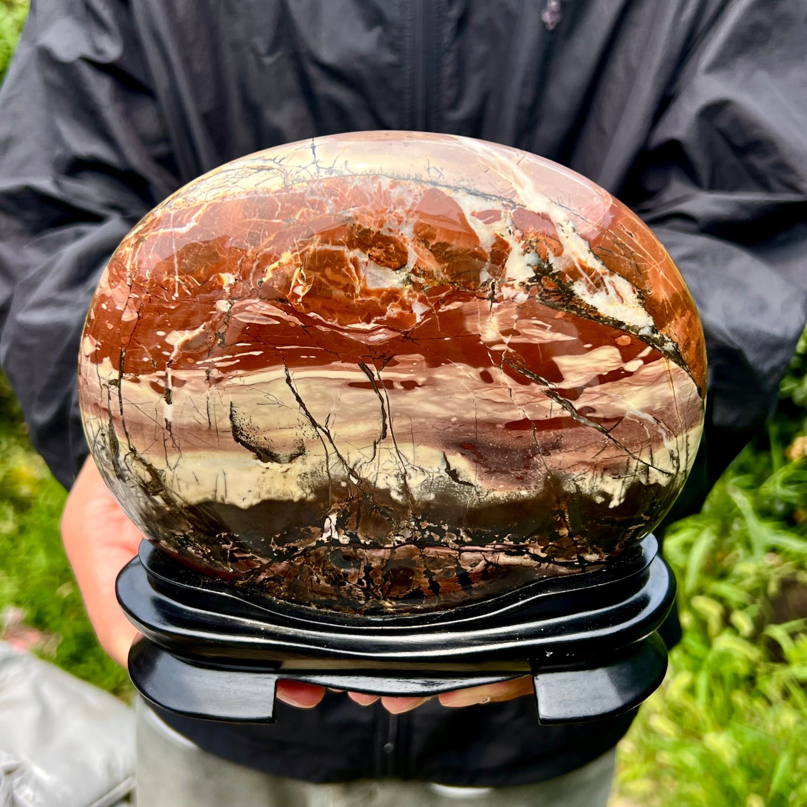4LB  Rare National Treasure Fossil - Authentic Collectible Stone Specimen