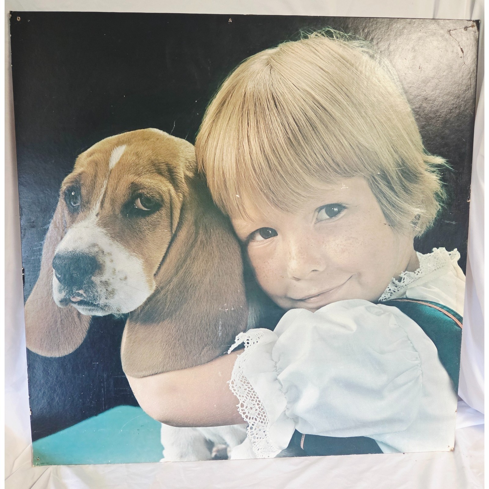 Vintage 1970s Photo Store Display – Girl & Basset Hound, A8-570T 30\
