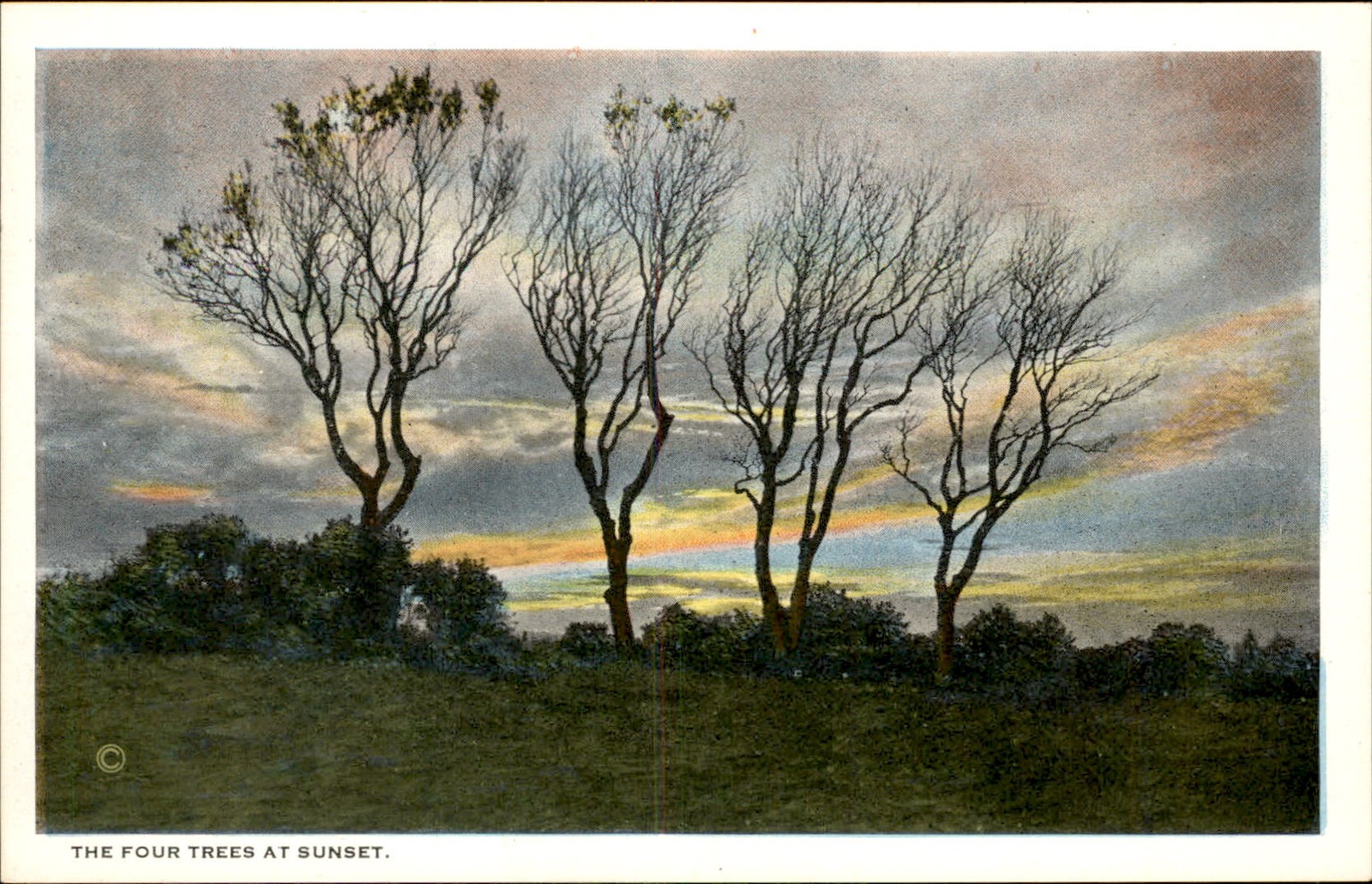 Nantucket MA Four Trees at Sunset M. W. Boyer c1900s-10s Vintage Postcard bhn