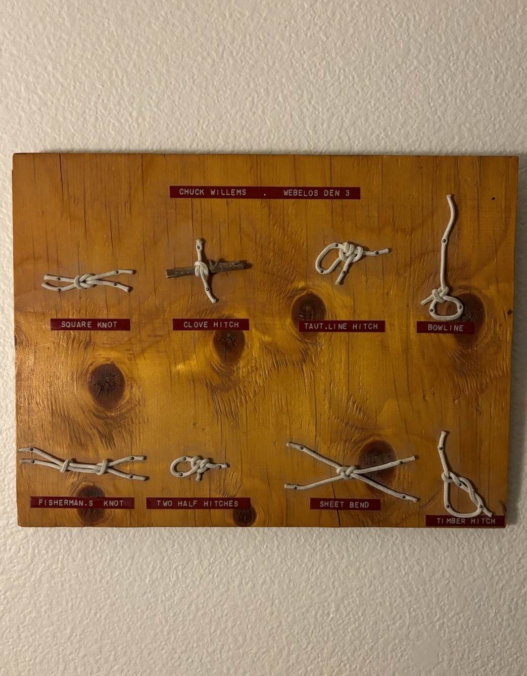 Vintage 70’s Boy Scouts Handmade Webelos Den 3 Knot Tying Display Board