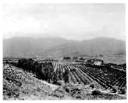 Panoramic view of East Glendale 1910 California Old Photo