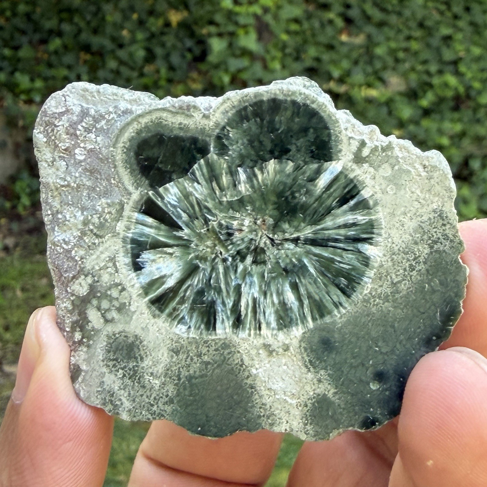 New Acquisition Of AAA Quality Seraphinite From Russia, 55gm, US Seller