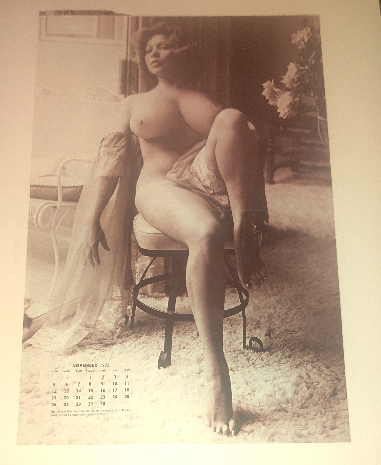 Vintage 1972 Rogue Magazine Calendar Photo Art Mari Labas Glamour Layout SetAn