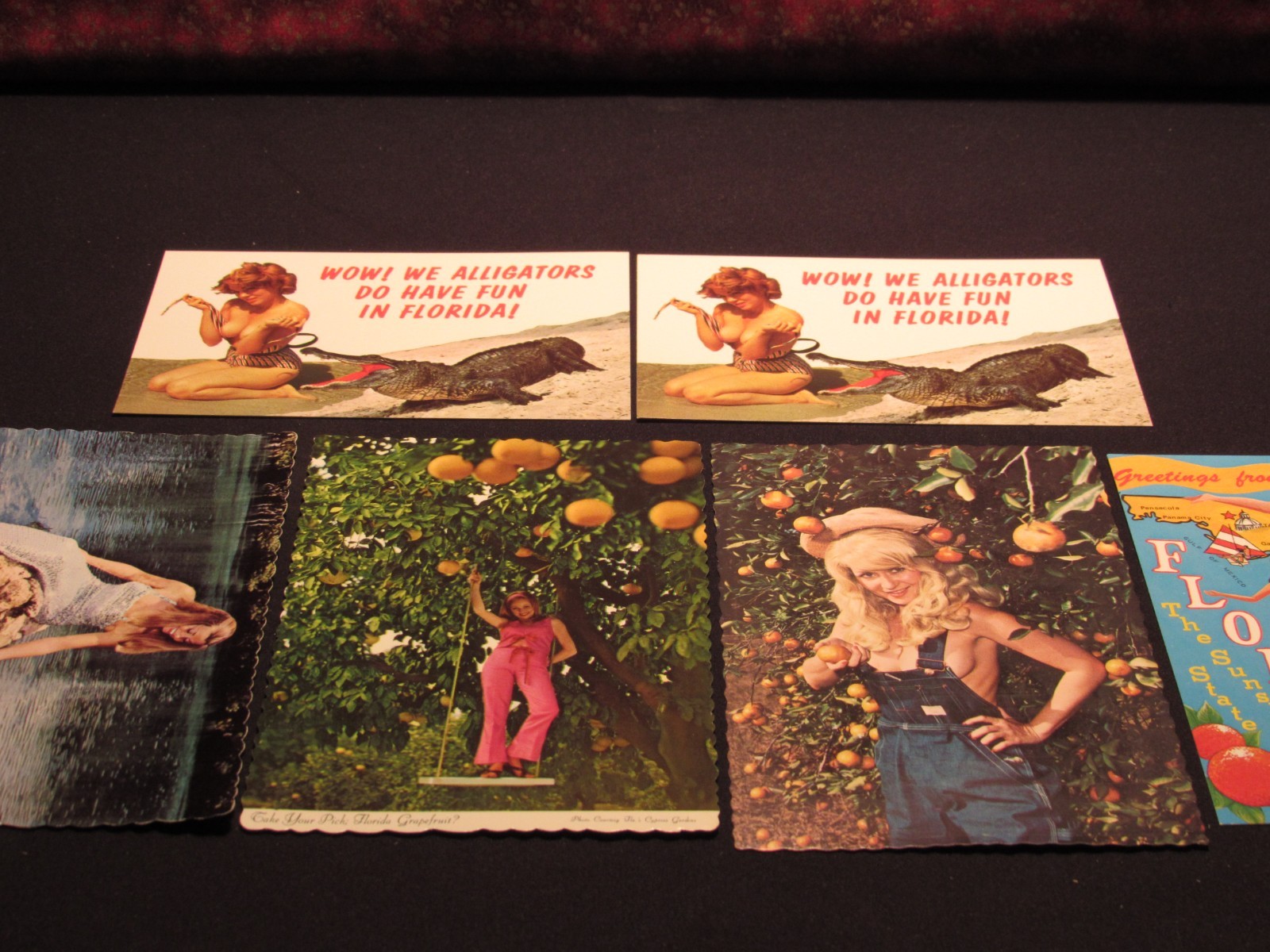 Florida Postcards 6 Total vintage girlie  postcards