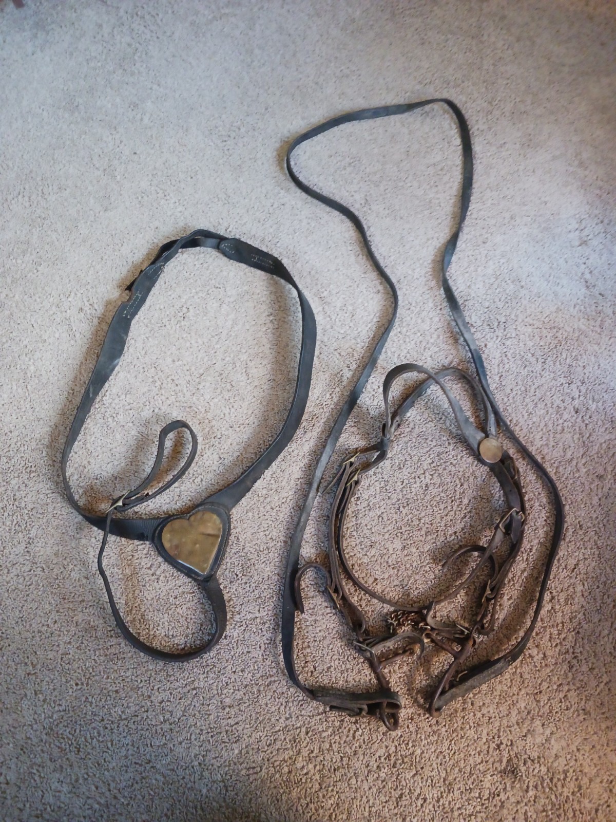 Extremely RARE Civil War US Cavalry Martingale Collar & M1859 Bridle Bit & Reins