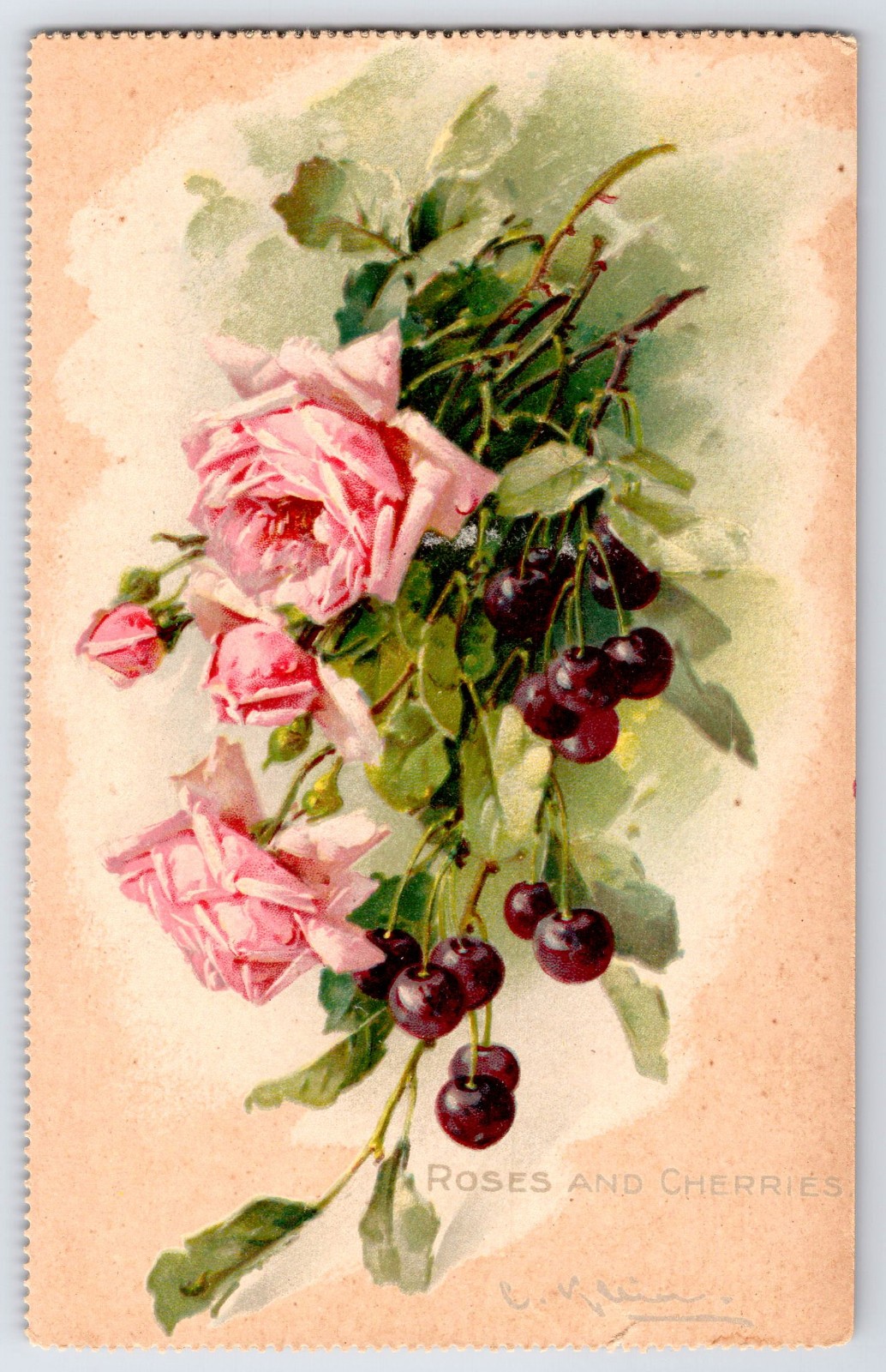 [40j10] Postcard Raphael Tuck Unused, Roses and Cherries