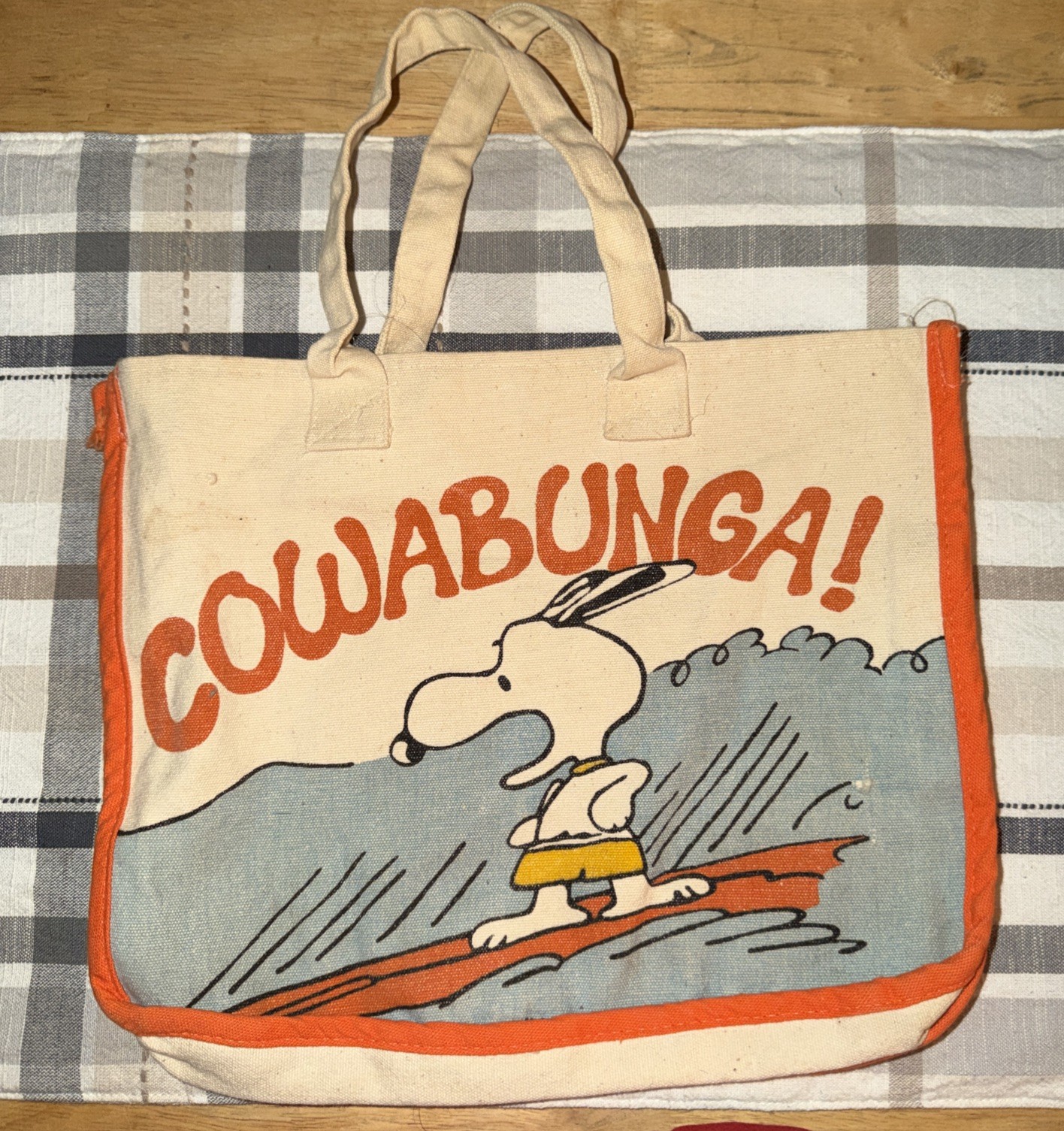 Vintage 70s Snoopy Cowabunga Surfing Tote Bag Butterfly Orginals Canvas No Snap