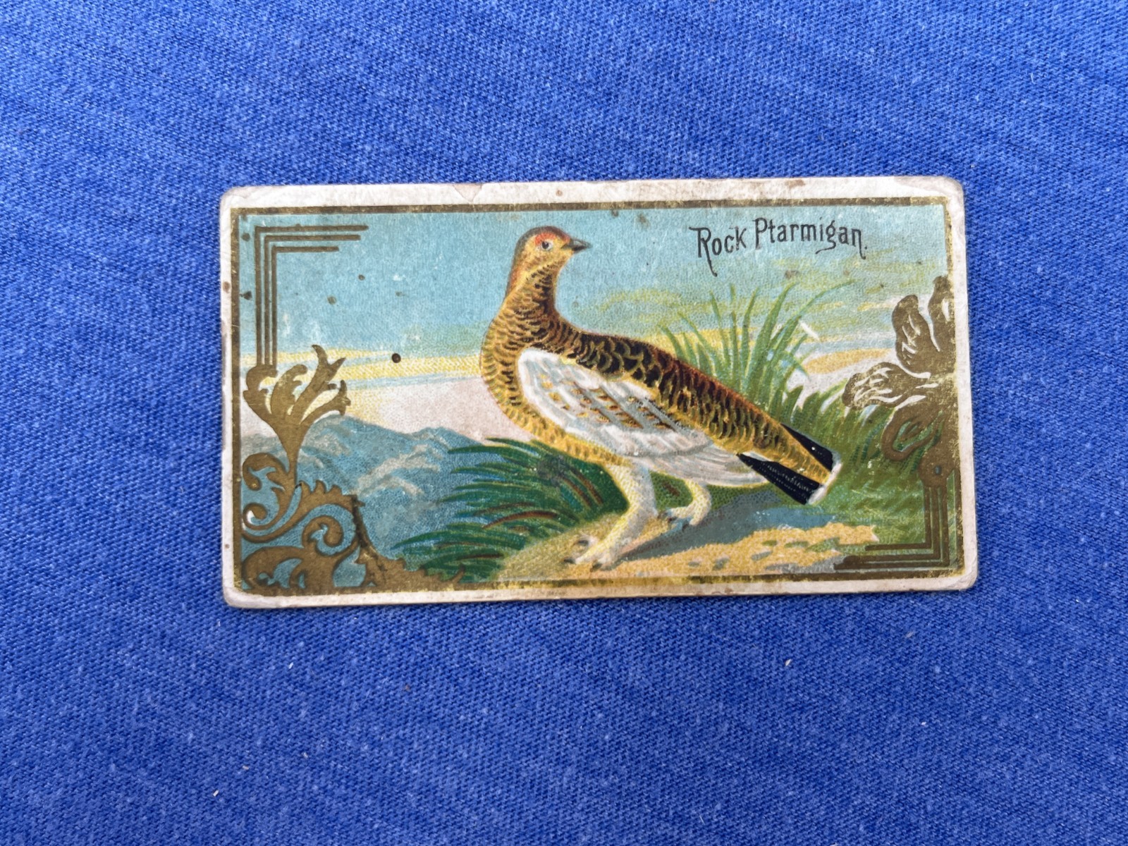 ROCK PTARMIGAN 1889 N13 Allen & Ginter Game Birds