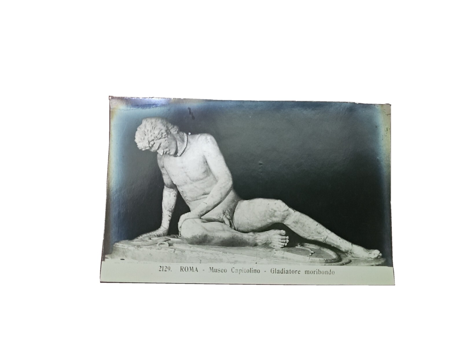 Vintage Roma Museo Capitolino Gladiatore Moribondo Post Card