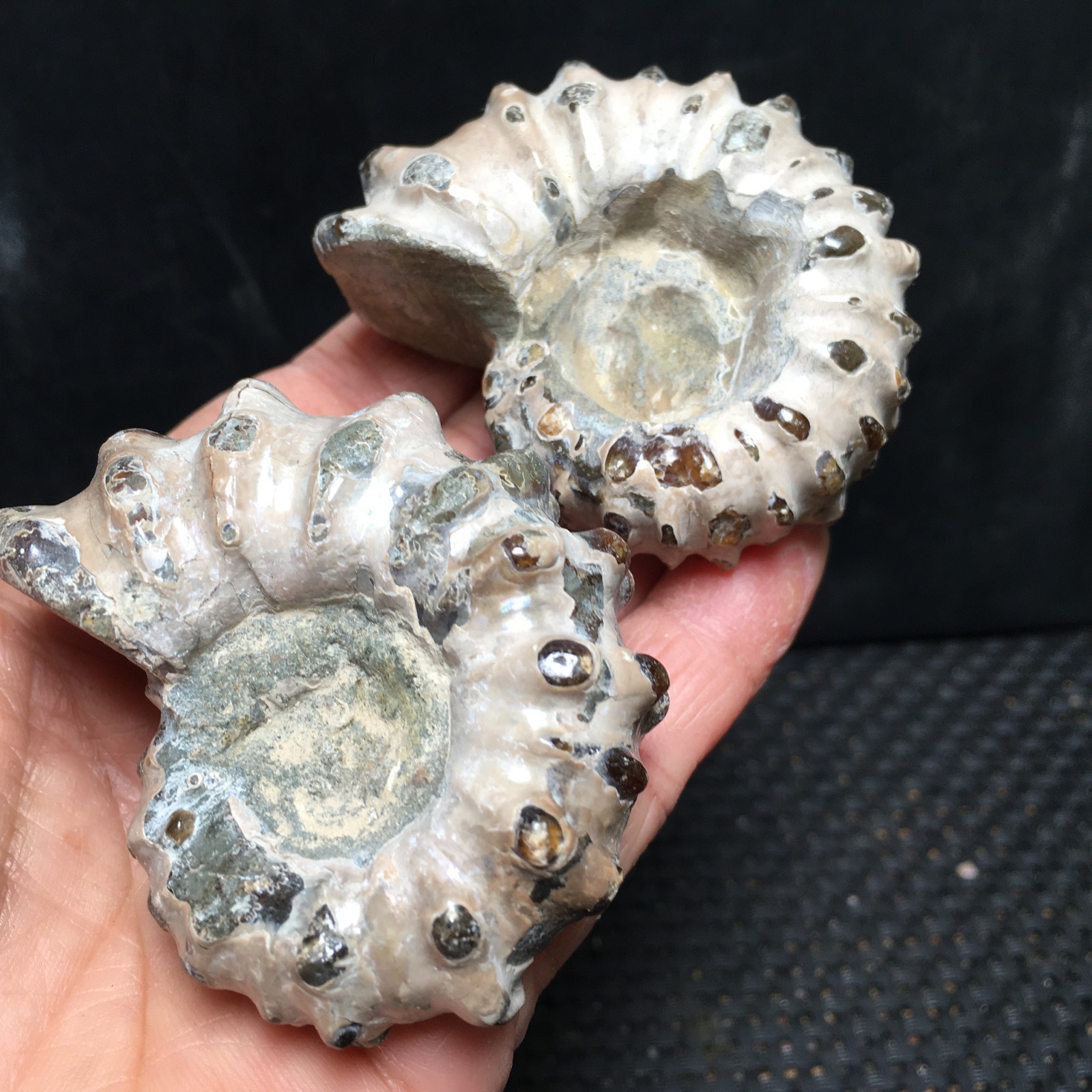 168g 2pc Natural Stone sculptor decoration specimens of Madagascar   fb1869