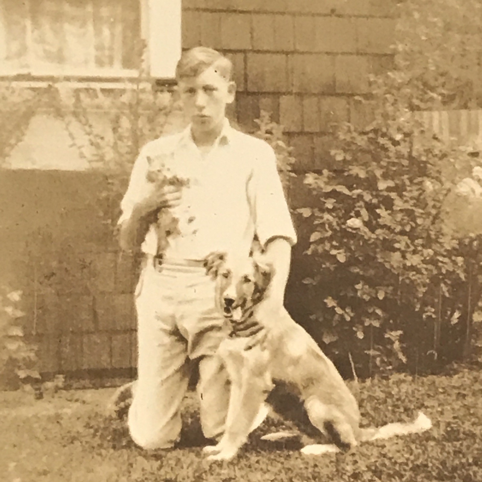 1933 A Boy w/ Kitten Cat & Dog Prince & Tizzie Snapshot Photograph  ID\'d