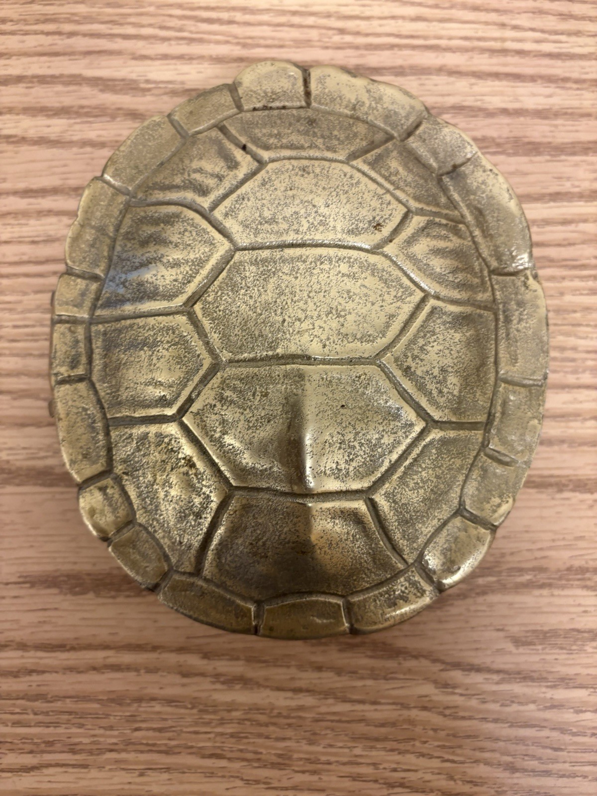 Nate Berkus Brass Tortoise Turtle Shell Trinket Box
